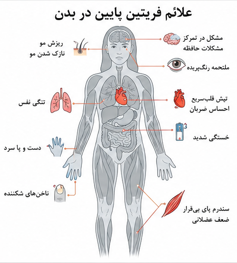 متن Alt تصویر