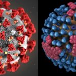 ابتلا به کرونا و آنفلوانزا را چگونه از یکدیگر تشخیص دهیم؟